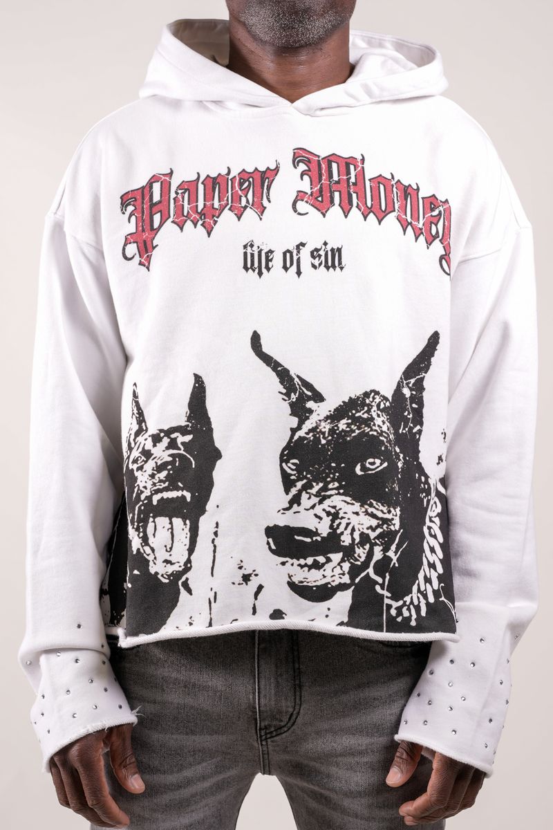 Paper Money Doberman graphic hoodie, front view, men's streetwear